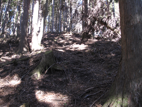 20190121hike (106)